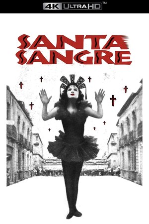 Santa Sangre poster