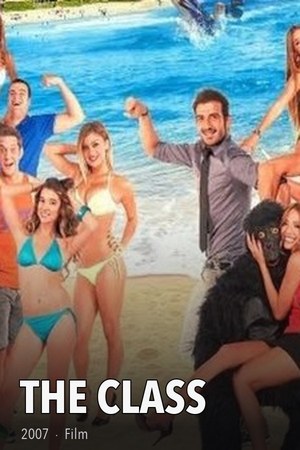 The Class poster