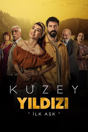 Kuzey Yildizi poster