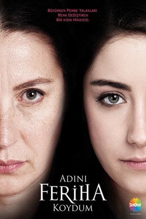 Adini Feriha Koydum poster
