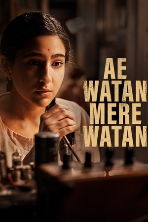 Ae Watan Mere Watan poster