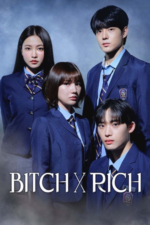 Bitch x Rich poster