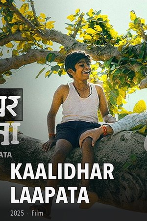 Kaalidhar Laapata poster