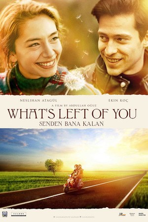 What's Left of You poster