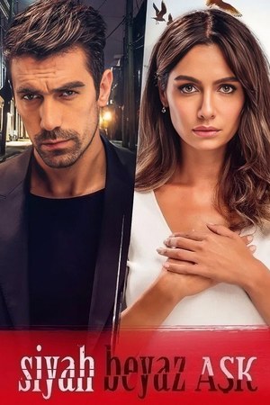 Siyah Beyaz Aşk poster